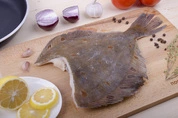 камбала потрашенная