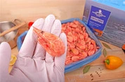 креветки