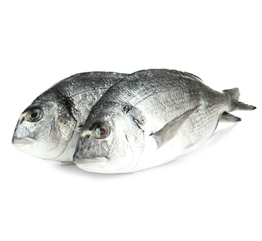 Рыба